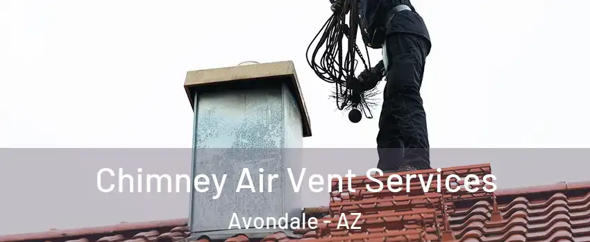  Chimney Air Vent Services Avondale - AZ