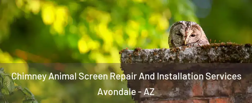  Chimney Animal Screen Repair And Installation Services Avondale - AZ