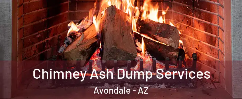  Chimney Ash Dump Services Avondale - AZ