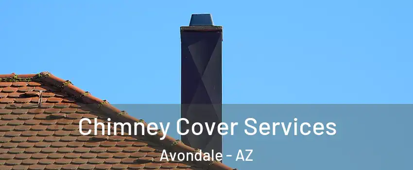  Chimney Cover Services Avondale - AZ