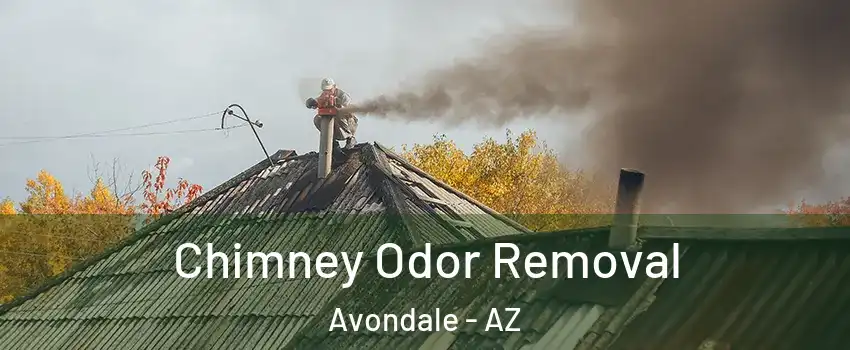  Chimney Odor Removal Avondale - AZ