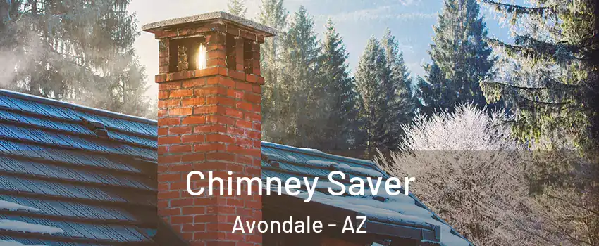  Chimney Saver Avondale - AZ