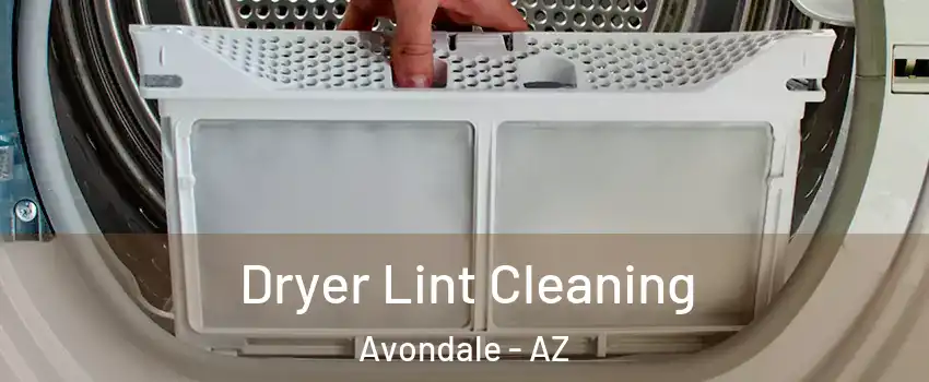  Dryer Lint Cleaning Avondale - AZ