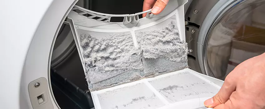 Best Dryer Lint Removal Company in Avondale, Arizona