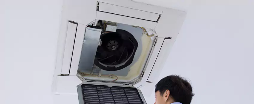 Benefits of Professional Air Duct Cleaning in Avondale, Arizona