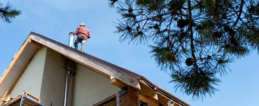 Birds Removal Contractors from Chimney in Avondale, AZ