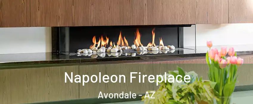  Napoleon Fireplace Avondale - AZ