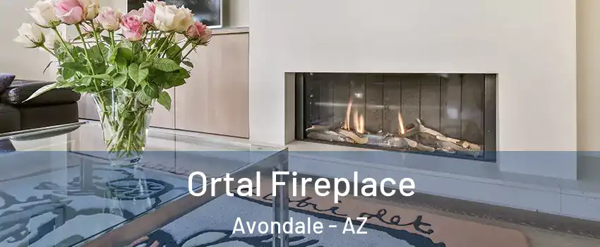  Ortal Fireplace Avondale - AZ